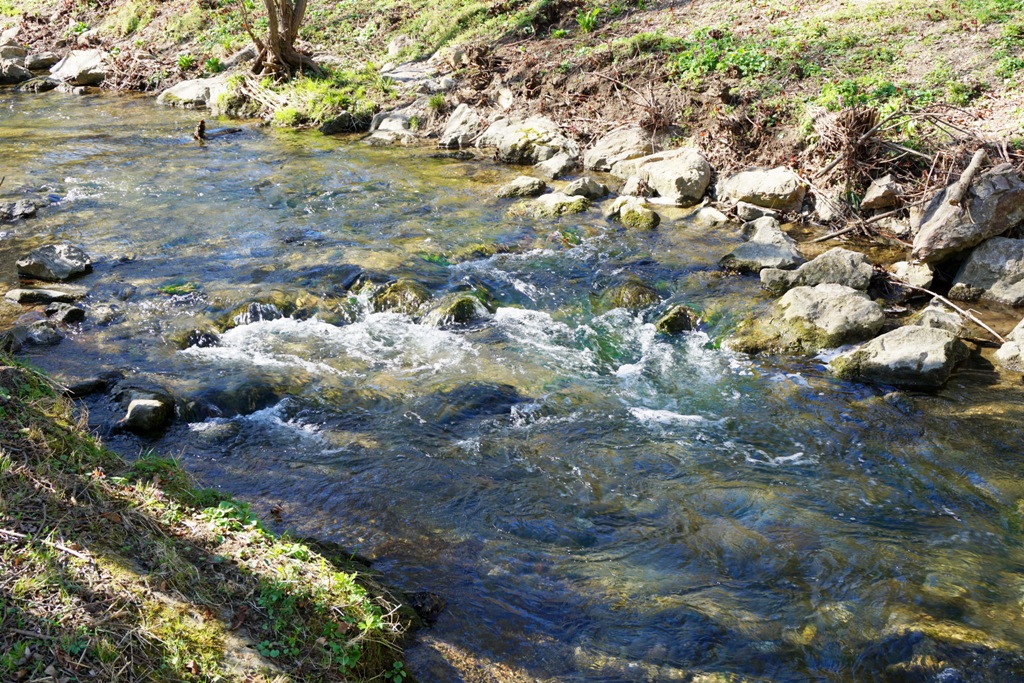 Fluss mit leichter Strömung