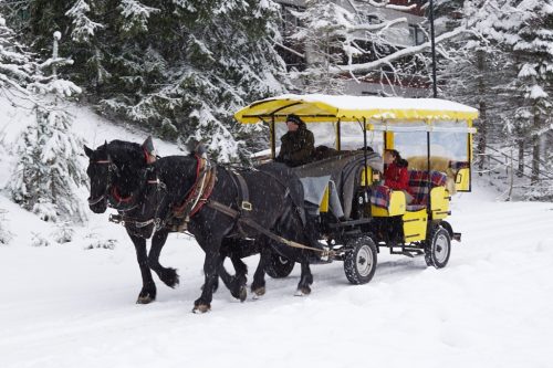 Kutschenfahrt Schnee