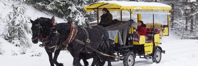 Kutschenfahrt Schnee