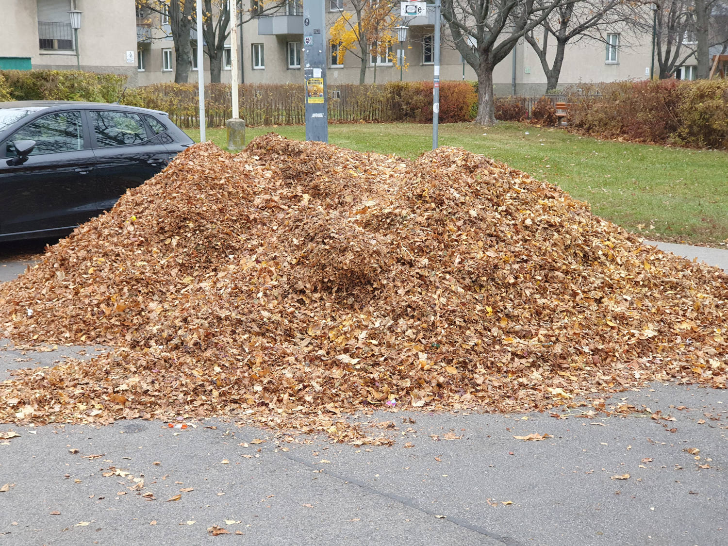 Laubhaufen neben Strasse