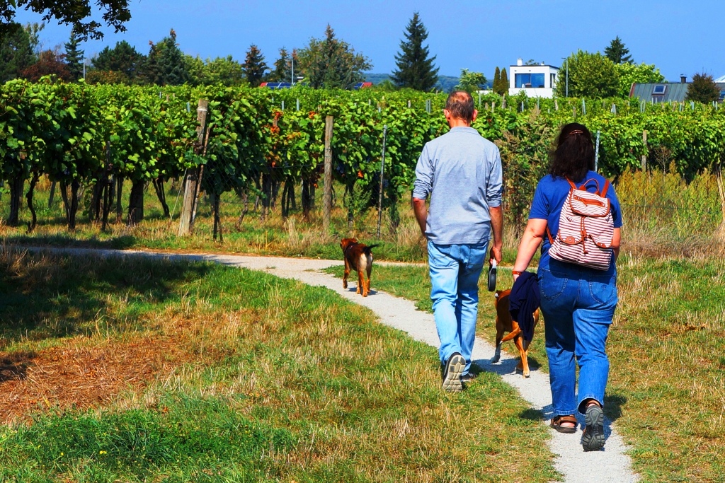 Gassi gehen mit dem Hund