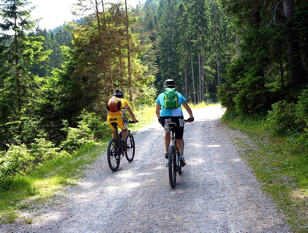 Mountainbiker im Wald/Alm