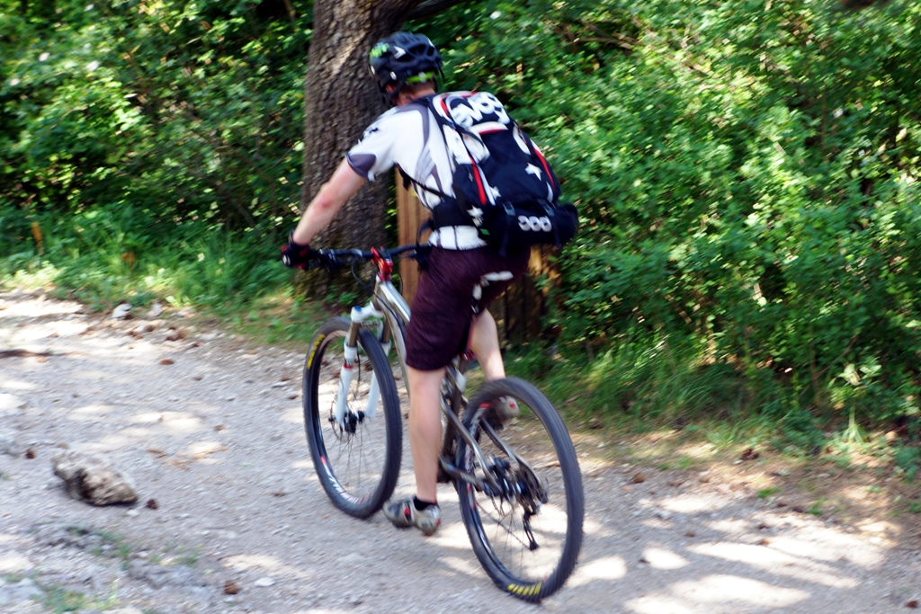 Mountainbiker im Wald