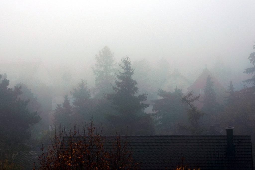 Nebelwand Herbst