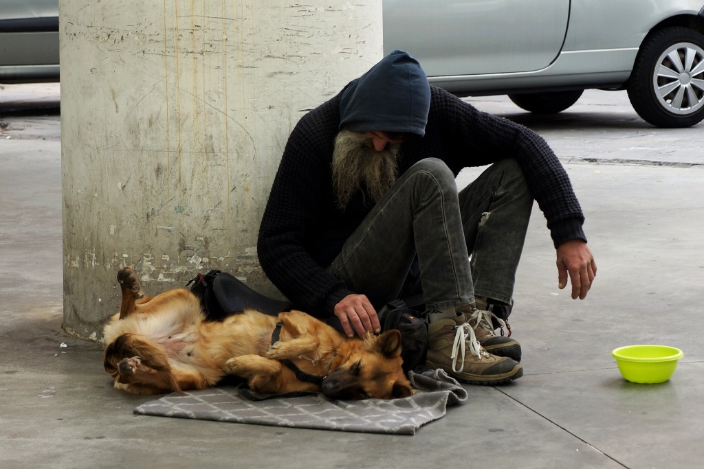 Bettler Obachloser Mit Hund Lizenzfreie Fotos Bilder Herunterladen Ohne Anmeldung