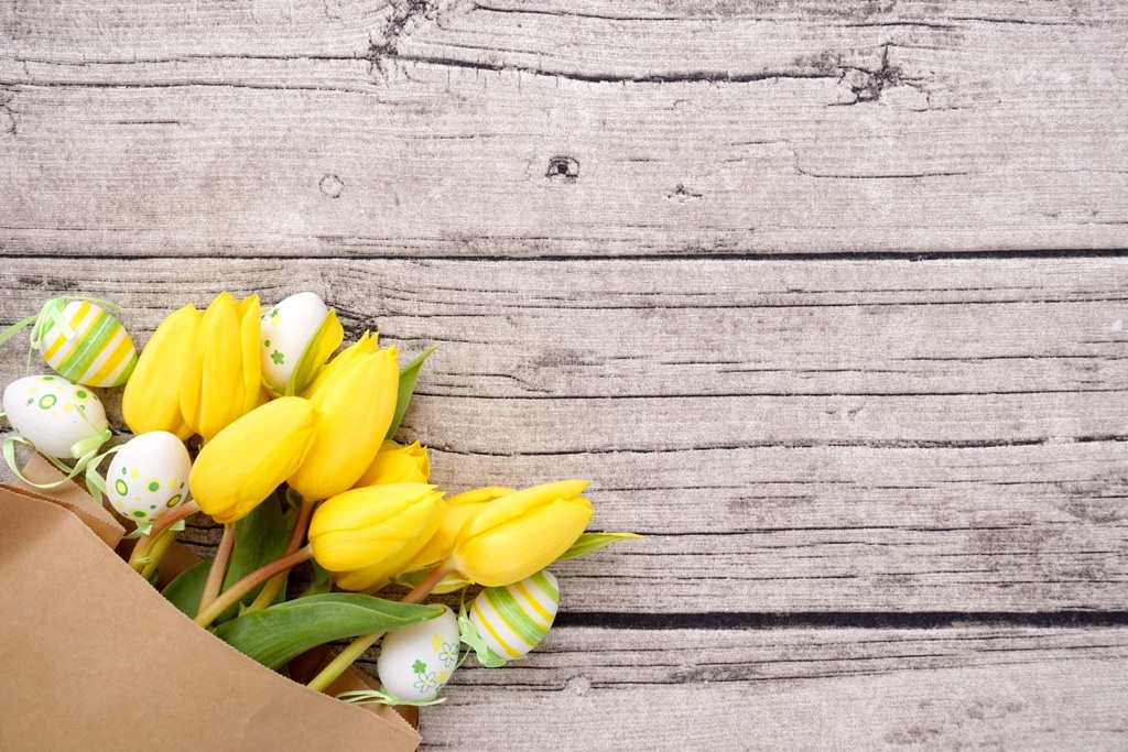 Frohe Ostern – gelbe Tulpen und Ostereier / Blumen