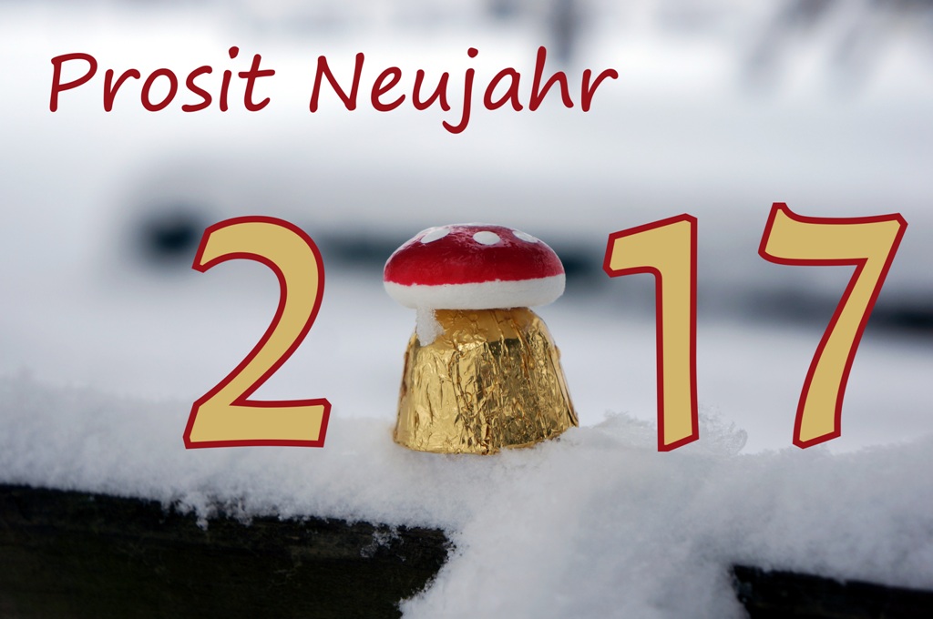 Prosit Neujahr 2017