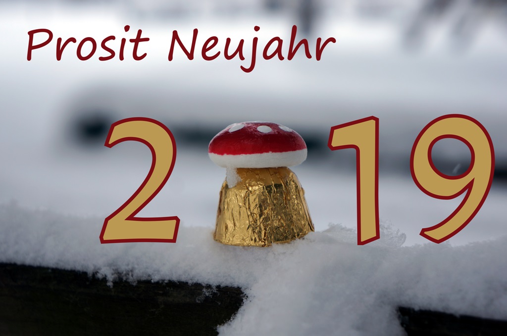 Prosit Neujahr 2019