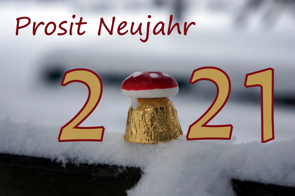 Prosit Neujahr 2021