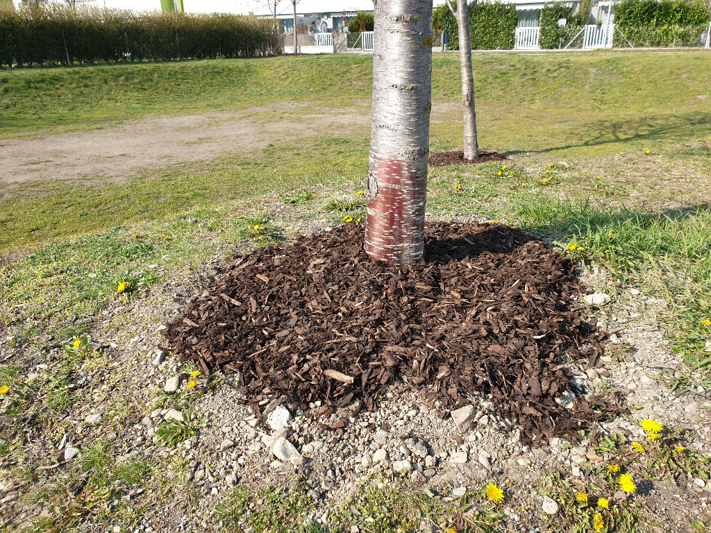 Rindenmulch Baum Gartenarbeit