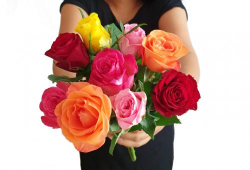 Rosen für dich Liebe Geschenk
