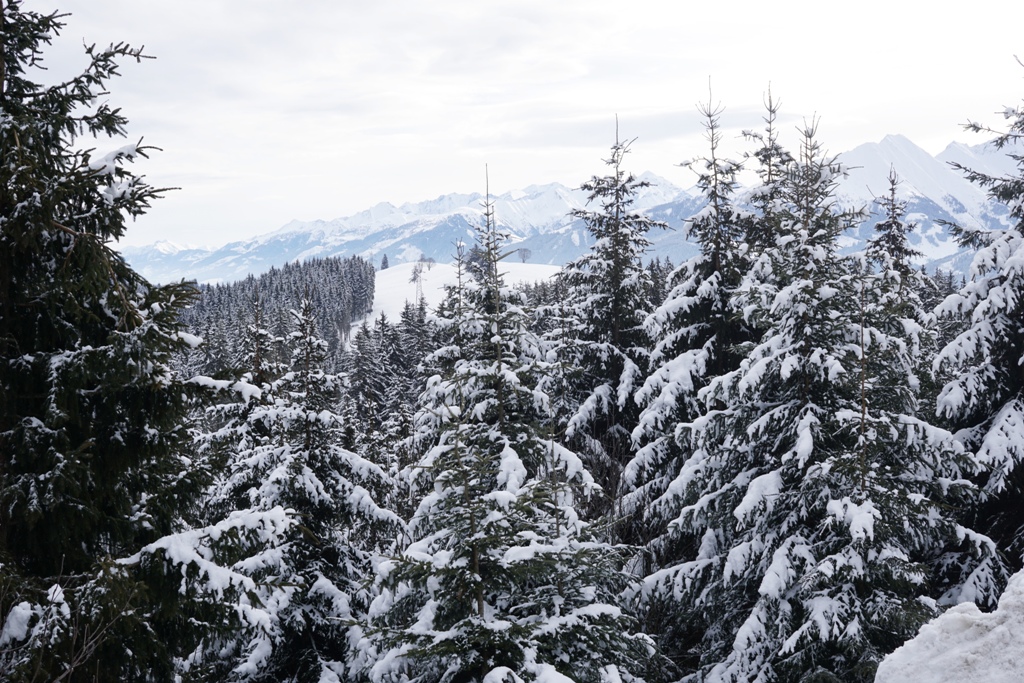 Schneelandschaft, Winterlandschaft