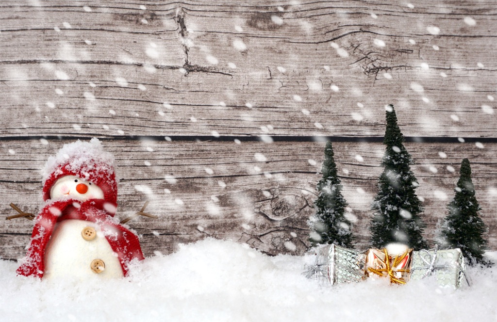 Schneemann im Wald Schneefall