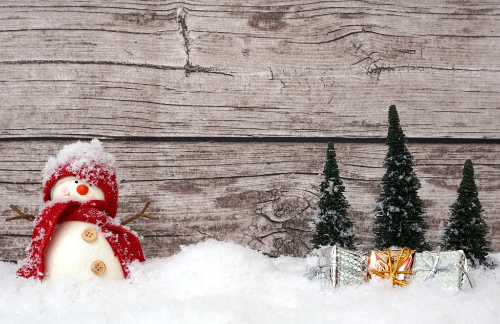 Ein Schneemann steht im Wald