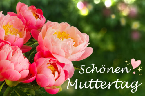 Schönen Muttertag Pfingstrosen