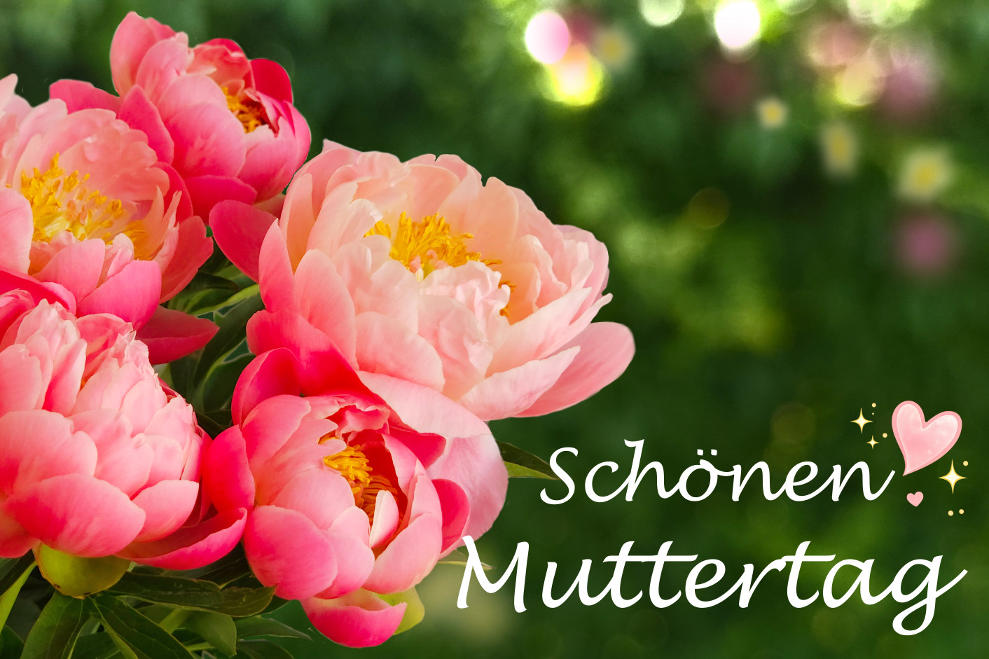 Schönen Muttertag Pfingstrosen