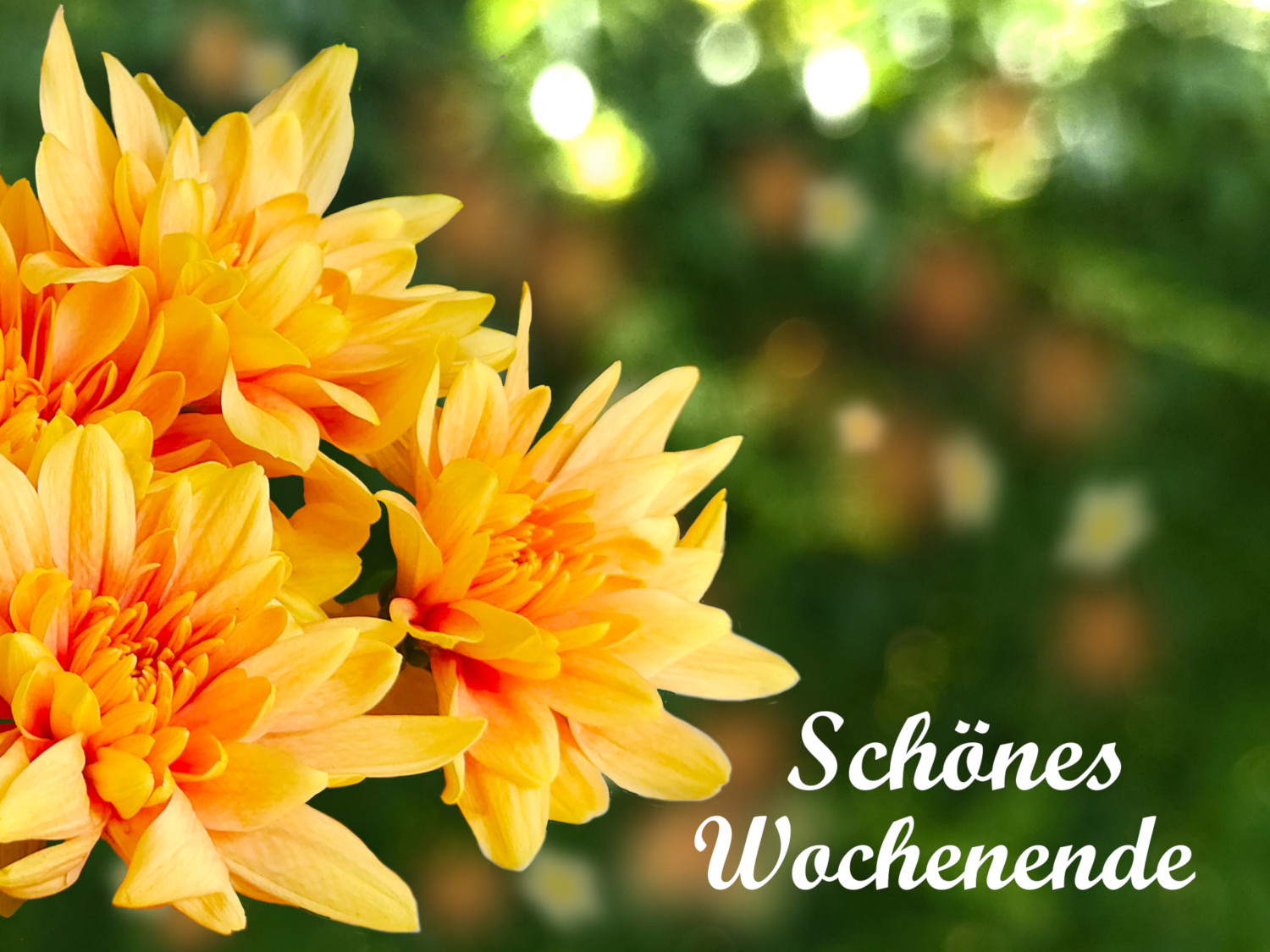 Schönes Wochenende Bilder
