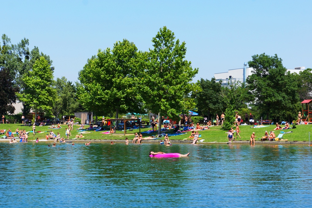 Schwimmen am See 1