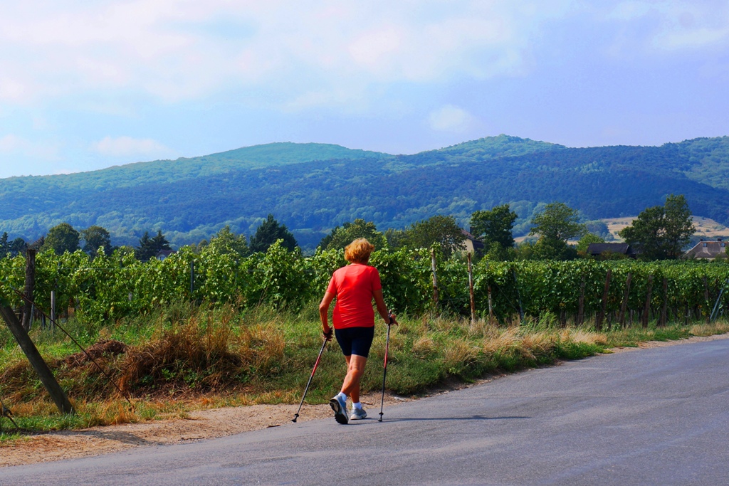 Senioren Nordic Walking