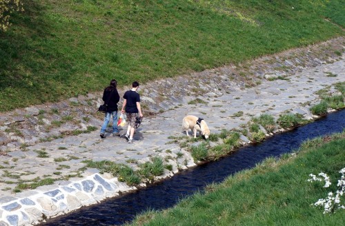 Spaziergänger mit Hund