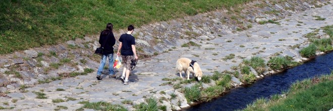 Spaziergänger mit Hund