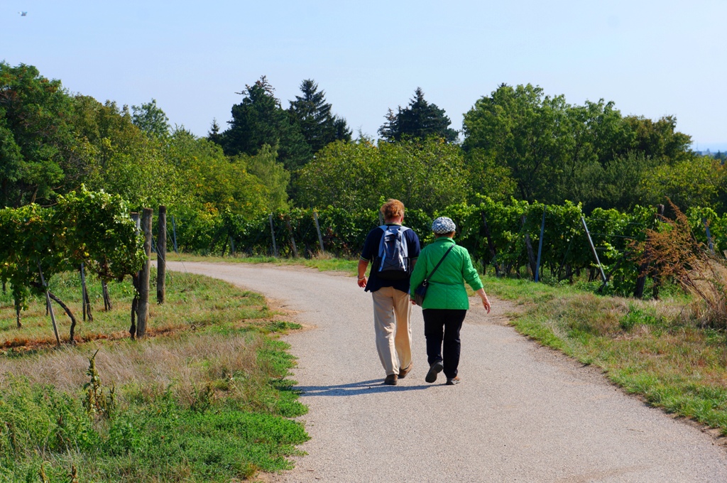 Gemütlicher Spaziergang im Herbst