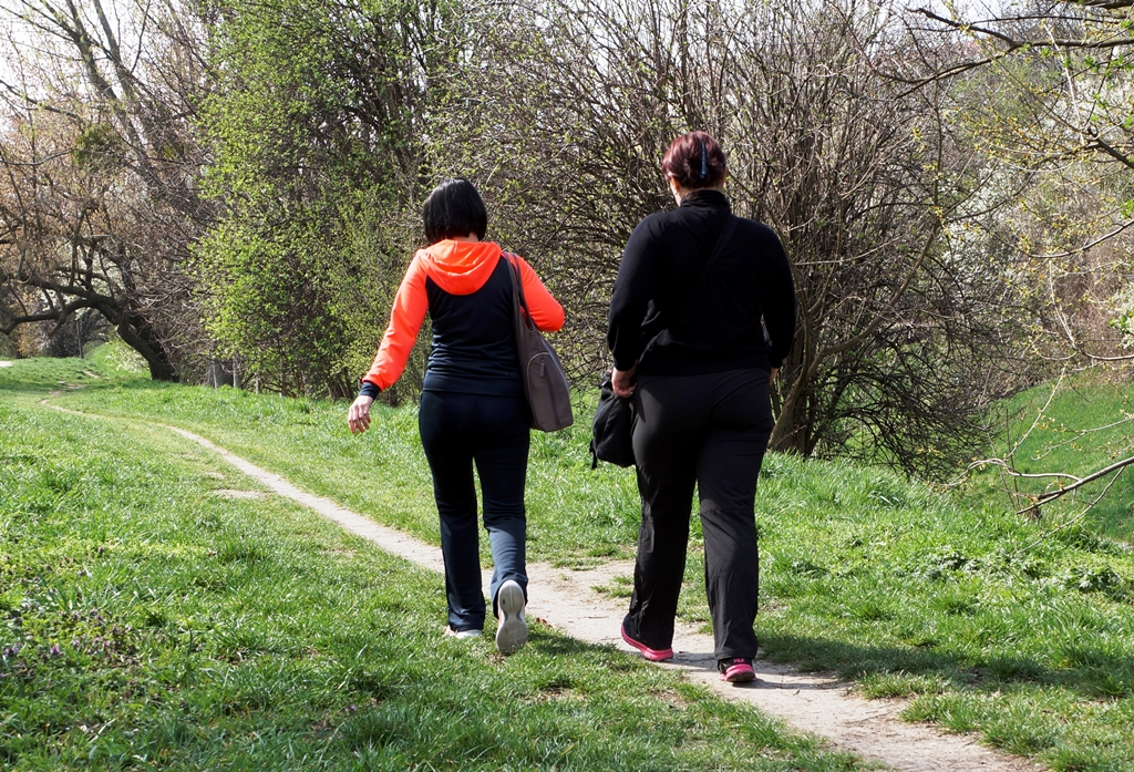 Spaziergang im Frühling/Sommer