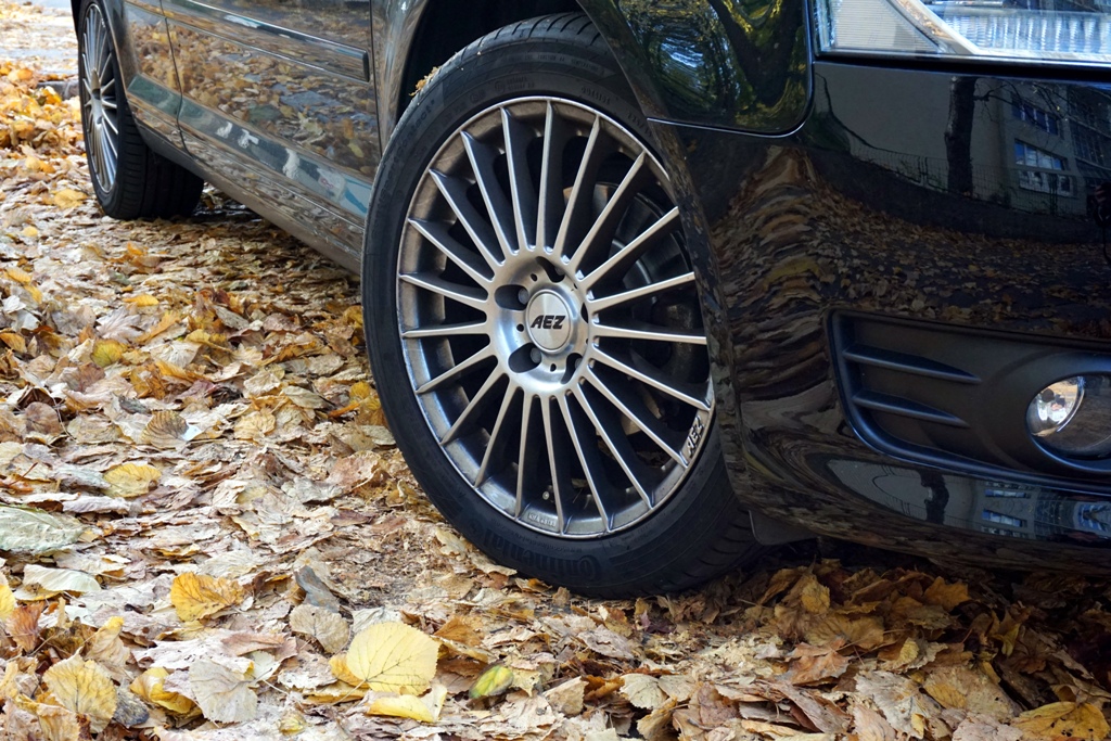 Herbstlaub auf Straße