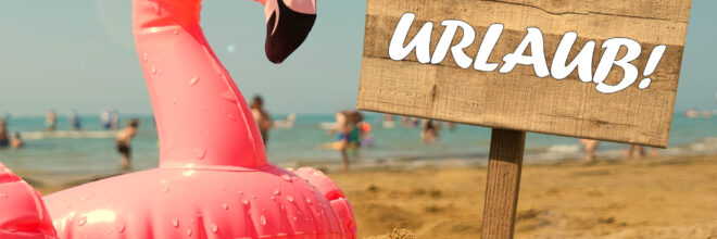 Urlaub Flamingo