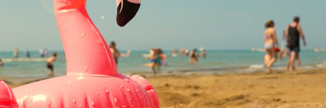 Urlaub Flamingo ohne Holzschild