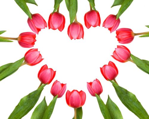 Valentinstag / Herz aus Tulpen