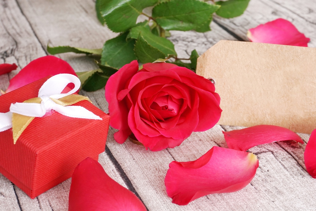 Valentinstag – Rote Rose mit Geschenk und Karte