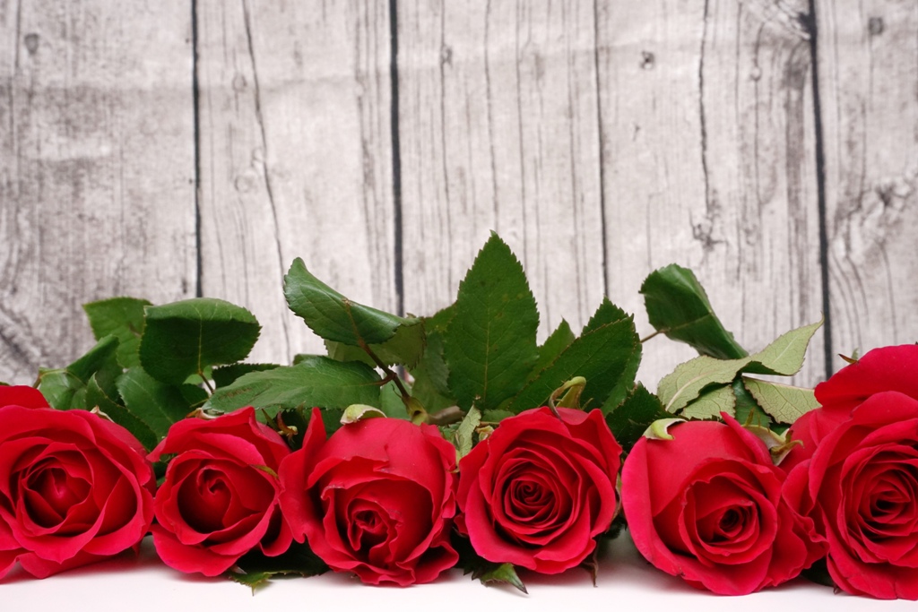 Valentinstag – Rote Rosen vor Holzwand 1