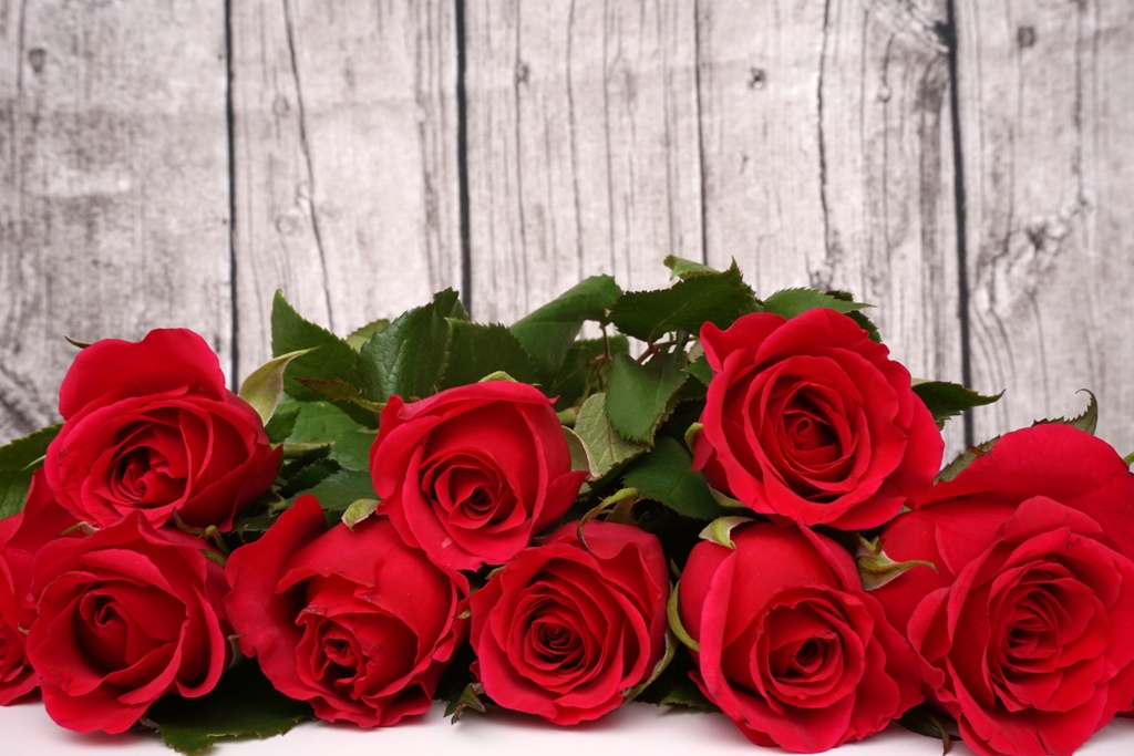 Valentinstag / Rote Rosen vor einer Holzwand