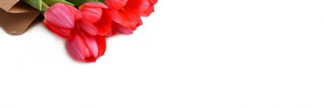Valentinstag / Tulpen in Papiertüte
