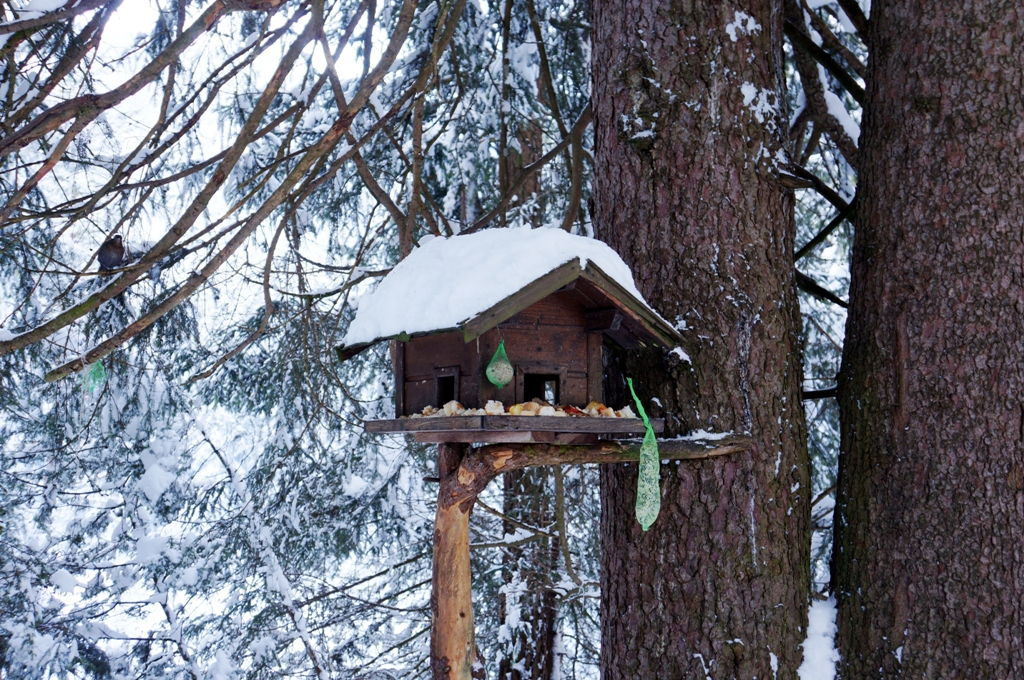 Vogelhaus im Winter