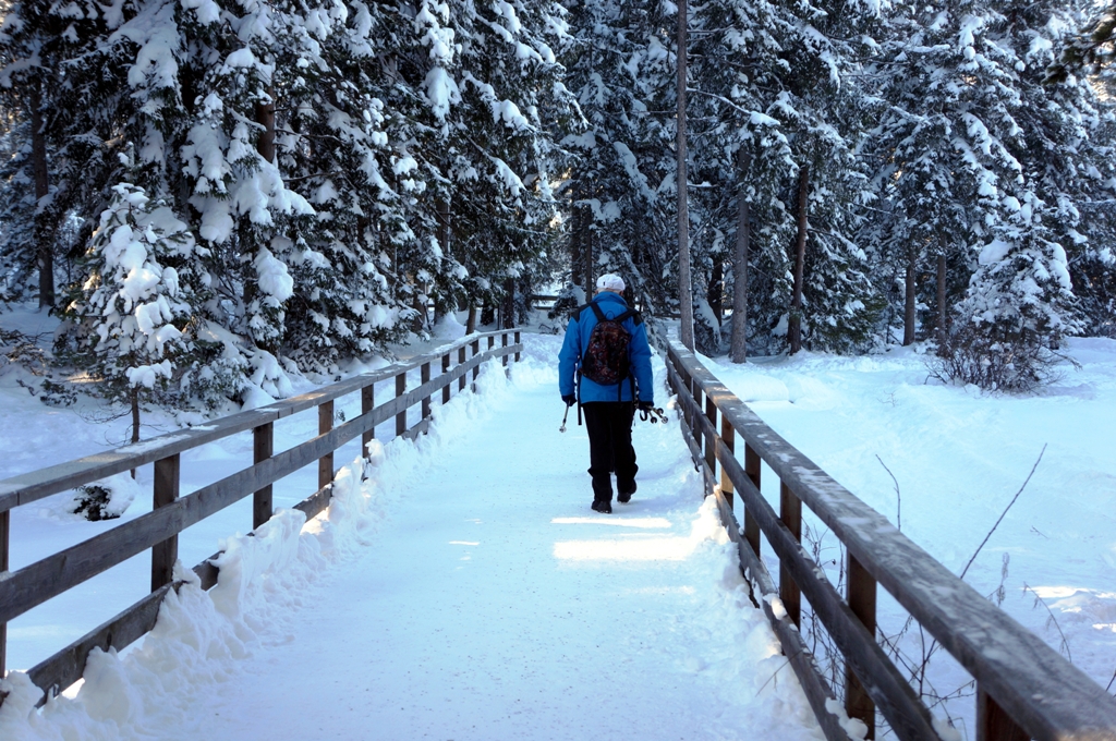 Winterwanderung im Schnee