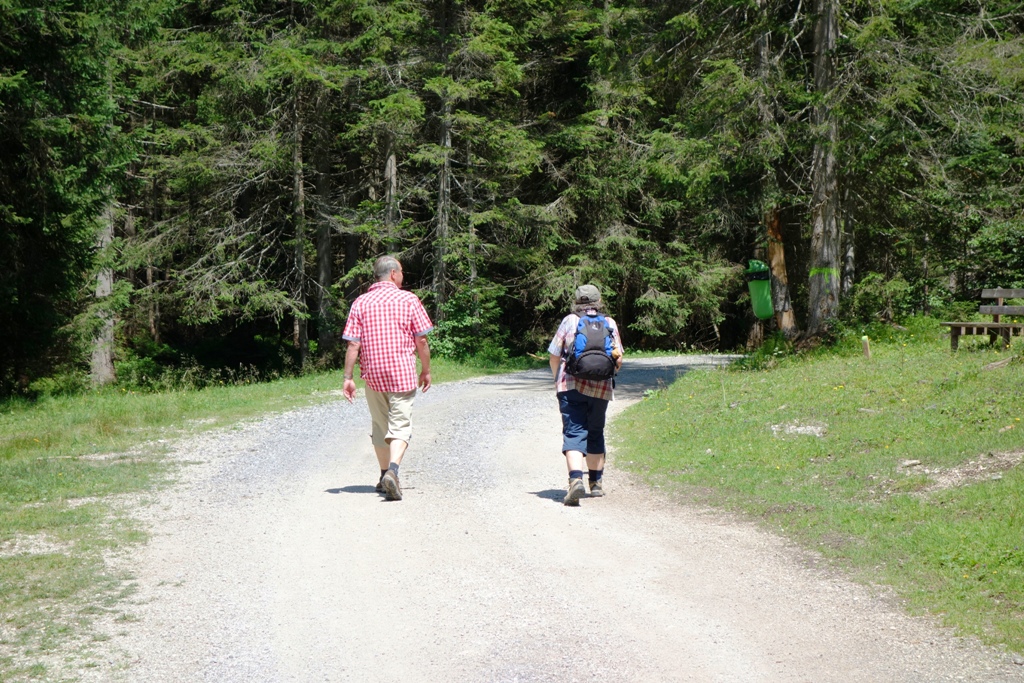 Spaziergang im Wald