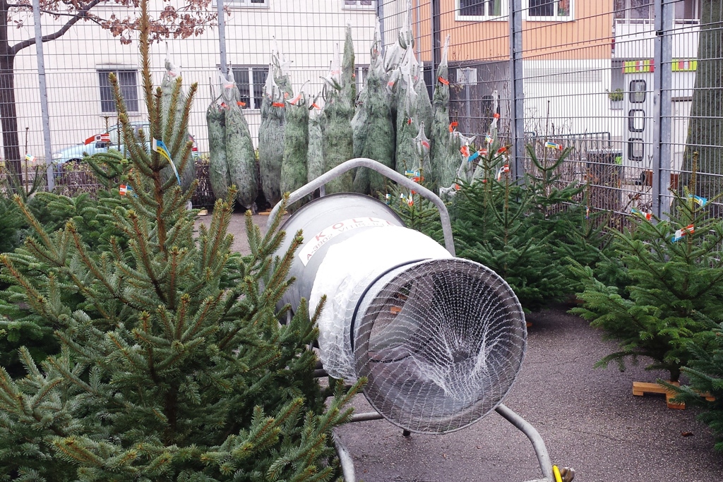 Weihnachtsbaum kaufen