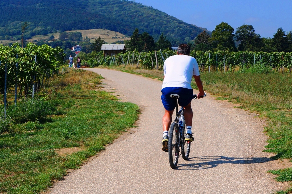 Radurlaub im Weinviertel