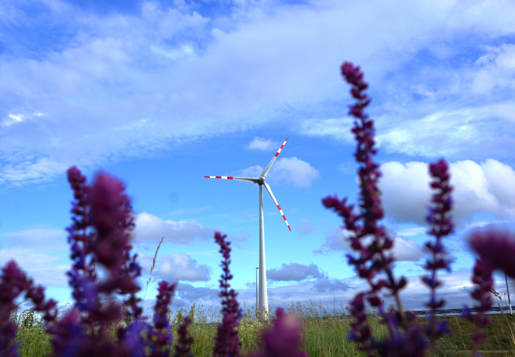 Windräder mit Blumen