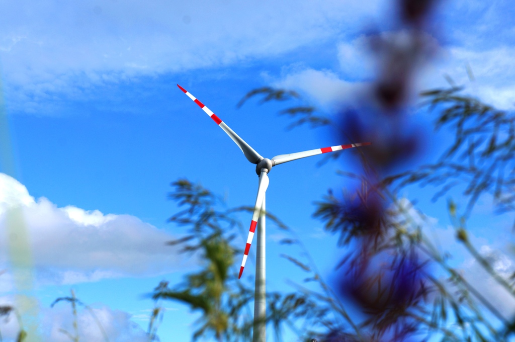 Windräder auf Wiese