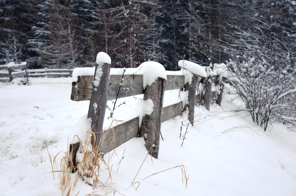 Winteridylle Schnee