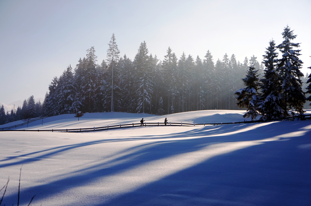 Winterlandschaft Natur Langlaufen