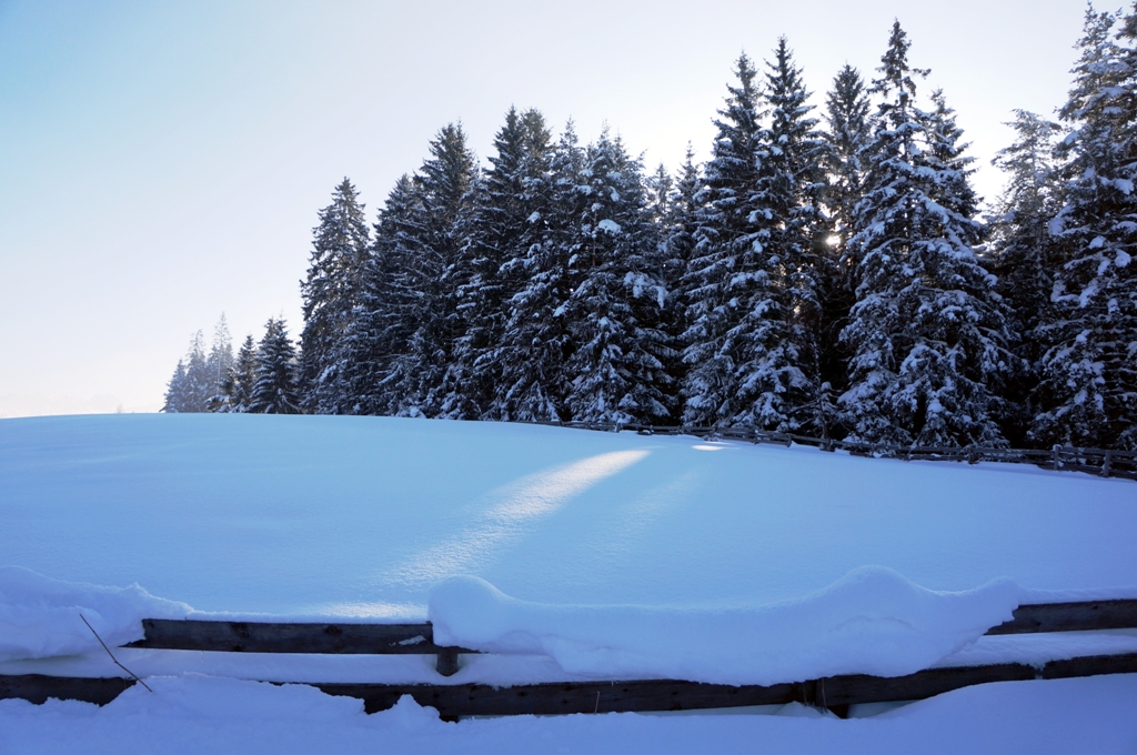 Winterlandschaft Wald