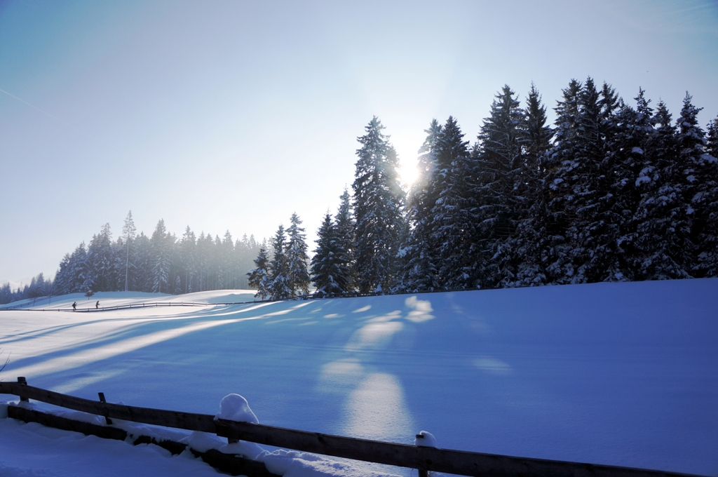 Winterlandschaft Österreich Natur