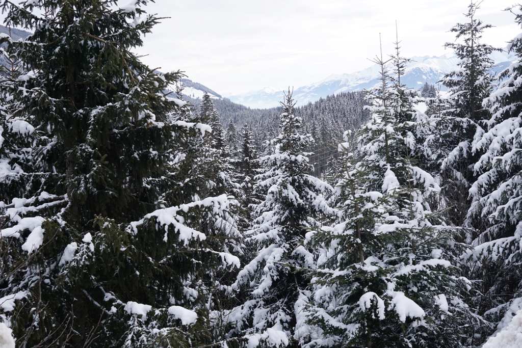 Winterlandschaft Schnee