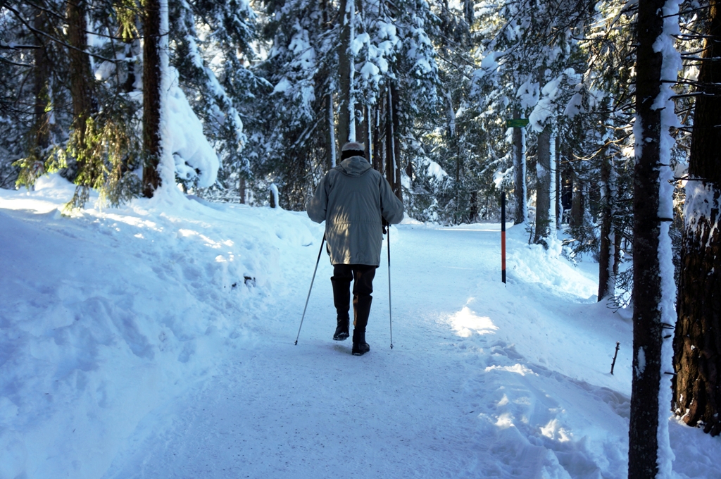 Winterwanderung in der Natur