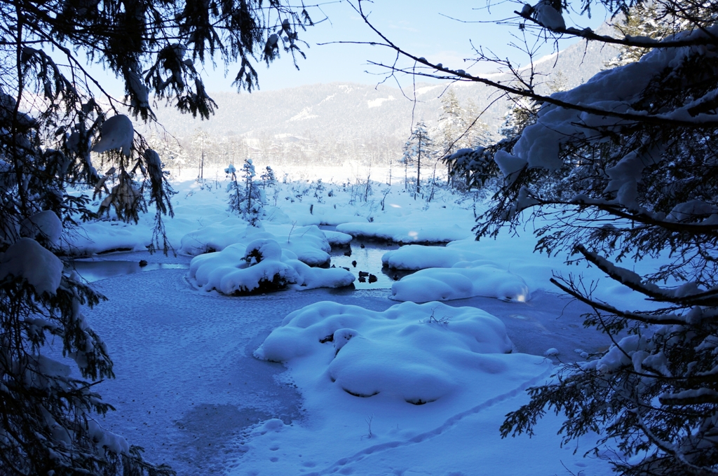 Gefrorener See im Winter