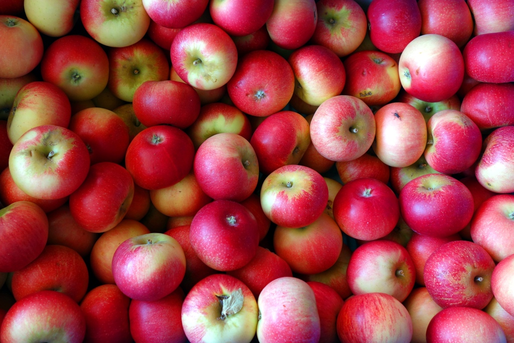 Äpfel sind gesund